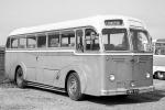 Guy Arab UF Duple Roadmaster 1952 года